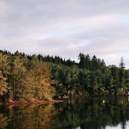 Lodge Avec Spa Privatif - Foret Et Lac Liginiac Eksteriør bilde
