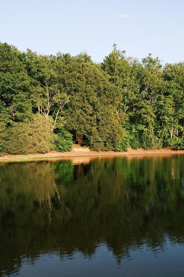 Lodge Avec Spa Privatif - Foret Et Lac Liginiac Eksteriør bilde