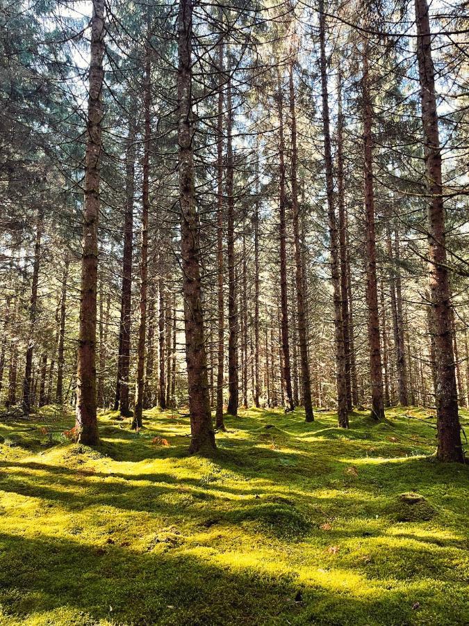 Lodge Avec Spa Privatif - Foret Et Lac Liginiac Eksteriør bilde