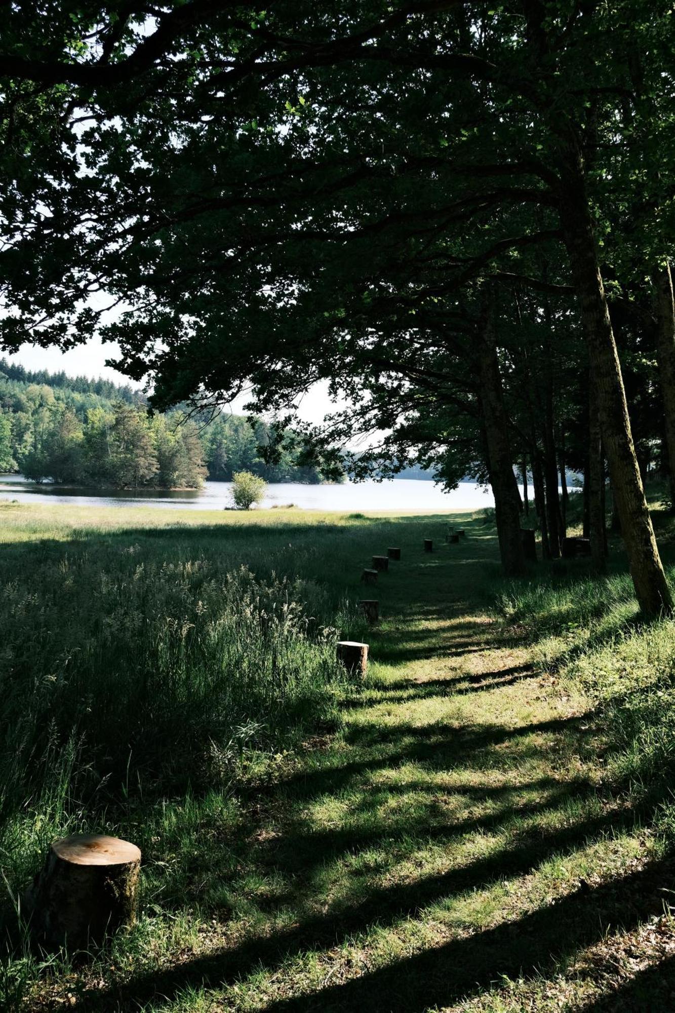 Lodge Avec Spa Privatif - Foret Et Lac Liginiac Eksteriør bilde