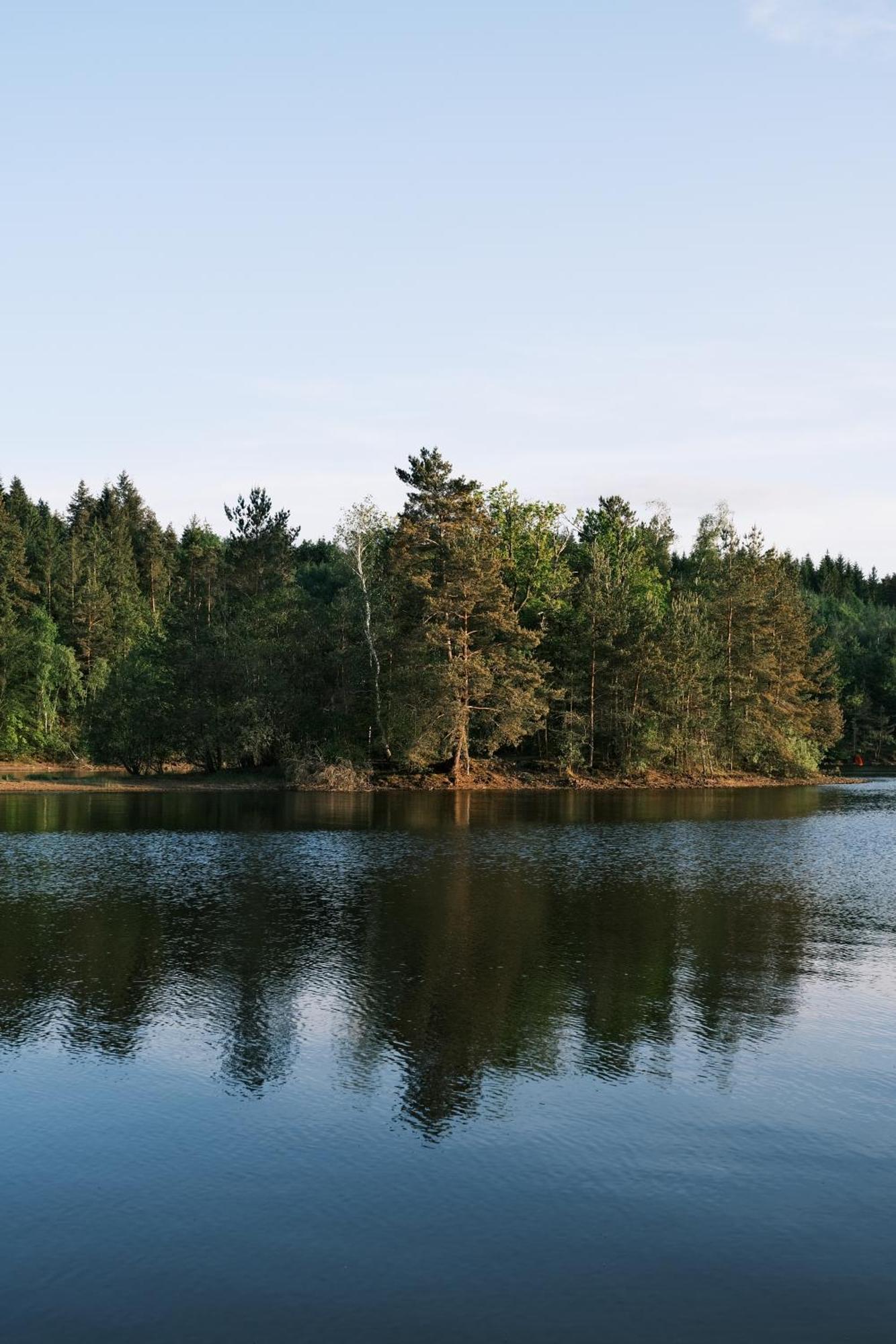 Lodge Avec Spa Privatif - Foret Et Lac Liginiac Eksteriør bilde