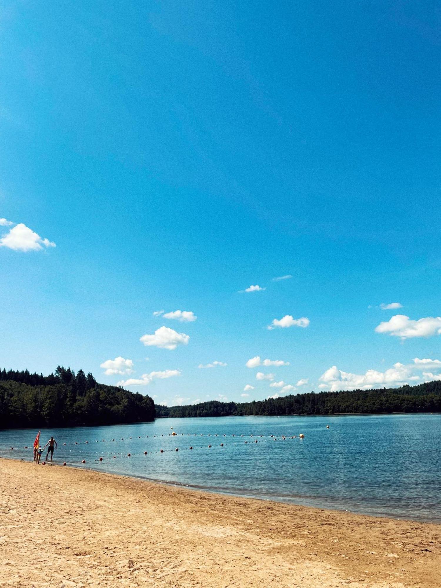 Lodge Avec Spa Privatif - Foret Et Lac Liginiac Eksteriør bilde