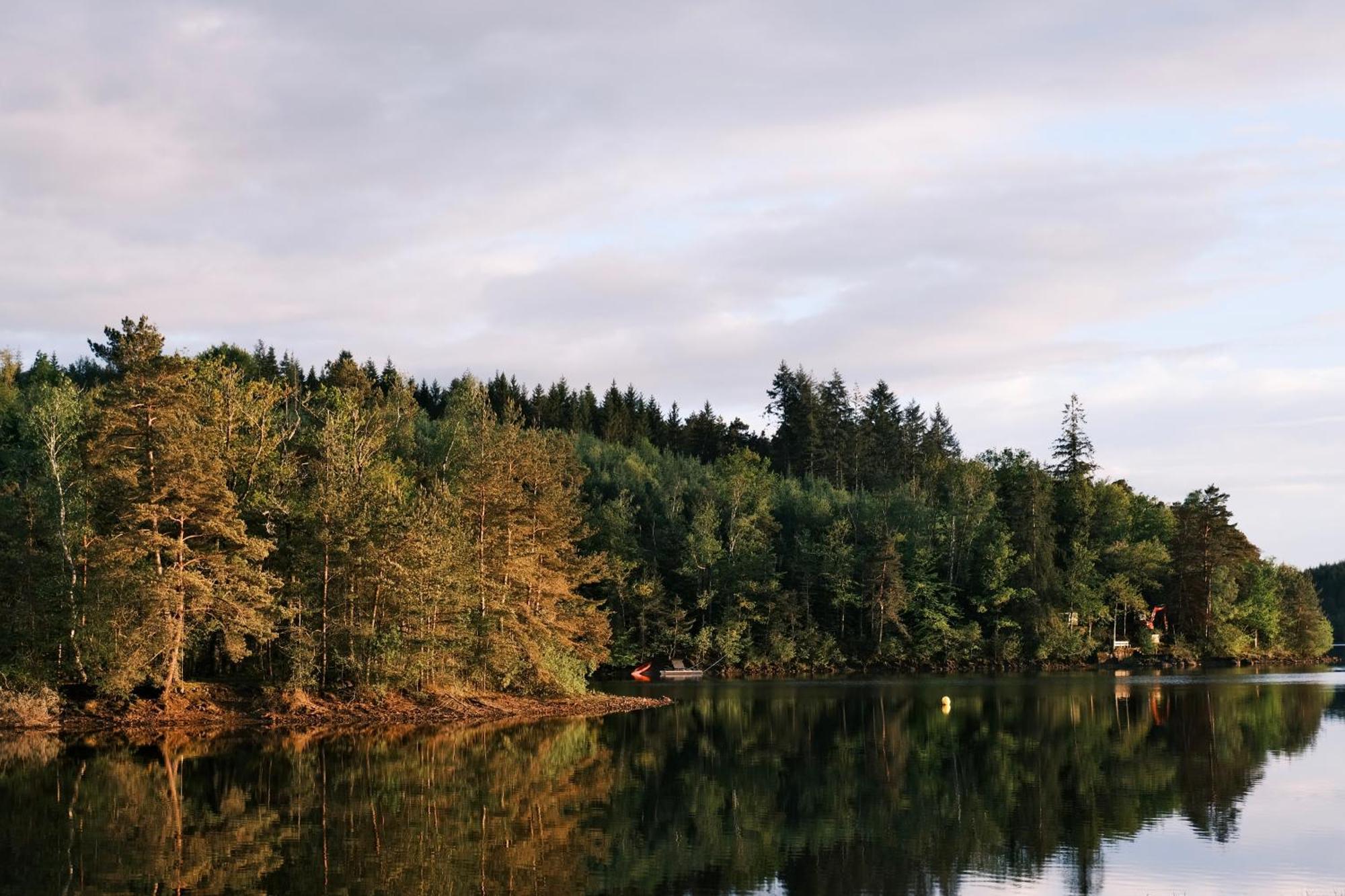 Lodge Avec Spa Privatif - Foret Et Lac Liginiac Eksteriør bilde